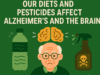 Cartoon illustration of an elderly man with a brain above his head, surrounded by a plastic bottle and pesticide spray, symbolizing how microplastics and pesticides contribute to Alzheimer’s and brain decline.