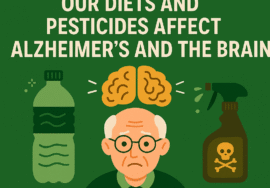 Cartoon illustration of an elderly man with a brain above his head, surrounded by a plastic bottle and pesticide spray, symbolizing how microplastics and pesticides contribute to Alzheimer’s and brain decline.